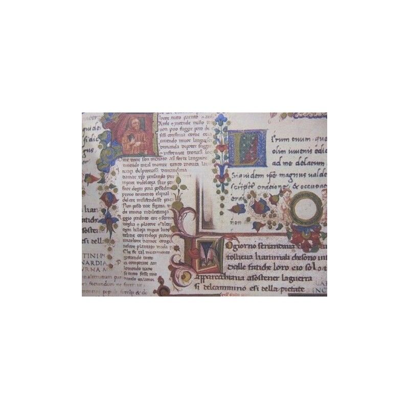 Serie Gold: Scriptorum. 70x100 cm. Kartos. Encuadernación