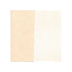 Papel scrapbooking Coconut Cream Core'dinations GX-C020| L'aura Bella
