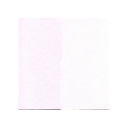 Papel scrapbooking Rose Embroidery Core'dinations | L'aura Bella