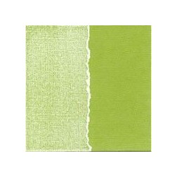 Papel scrapbooking Amazon Core'dinations GX-FG020 | L'aura Bella