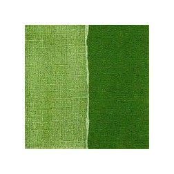 Papel scrapbooking Fern Core'dinations GX-FG030 | L'aura Bella