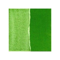 Papel scrapbooking Parsley Core'dinations GX-PG040 | L'aura Bella