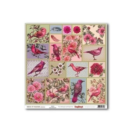 Birds of Paradise: Tropical