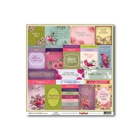 Birds of Paradise: Plumes