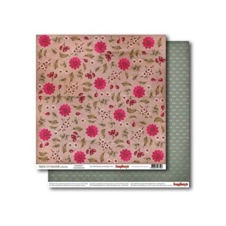 Birds of Paradise: Barberry