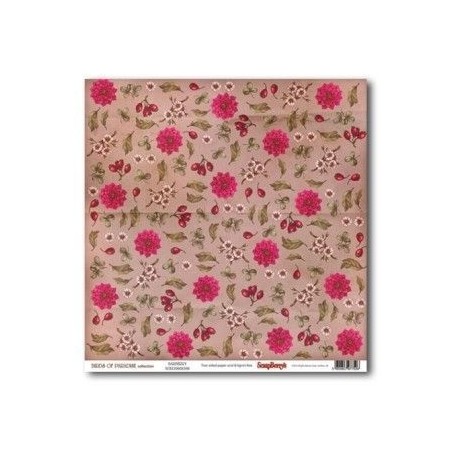 Birds of Paradise: Barberry