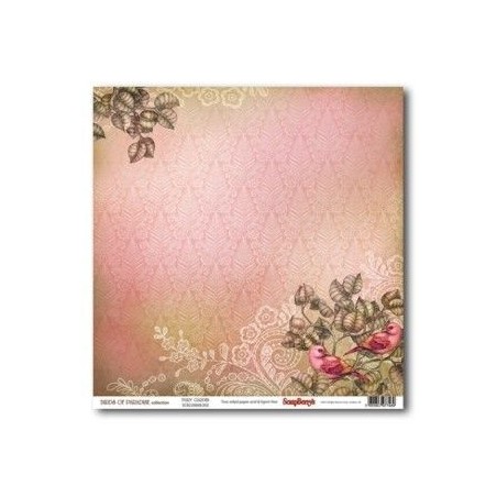 Birds of Paradise: Fairy Garden