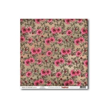 Birds of Paradise:  Flowers