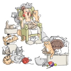 Señora de los gatos. 4 sellos