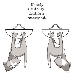 Gato asustado. 3 sellos