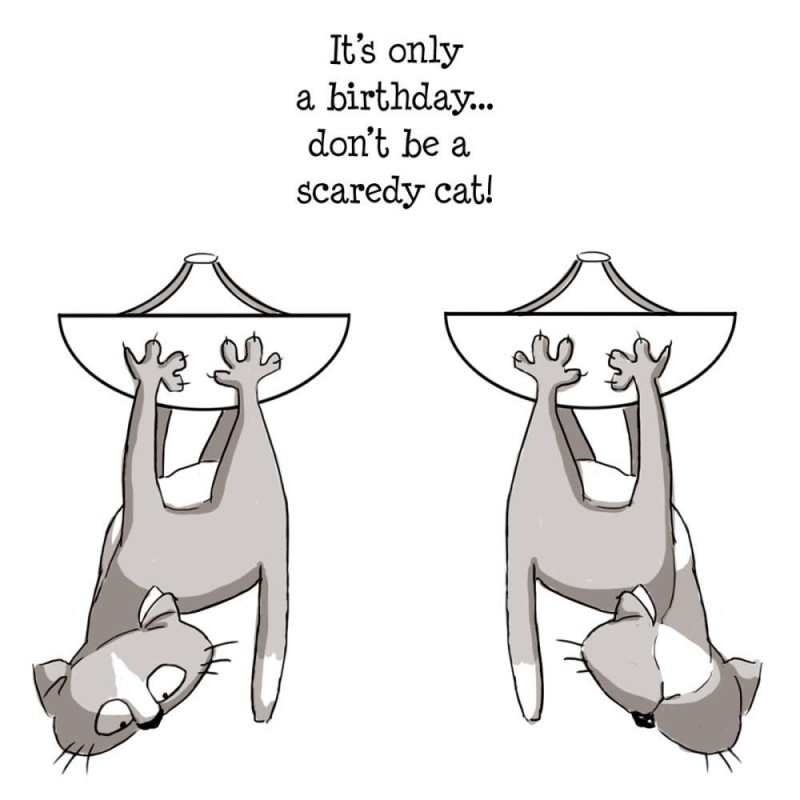 Gato asustado. 3 sellos