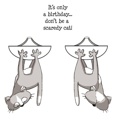 Gato asustado. 3 sellos