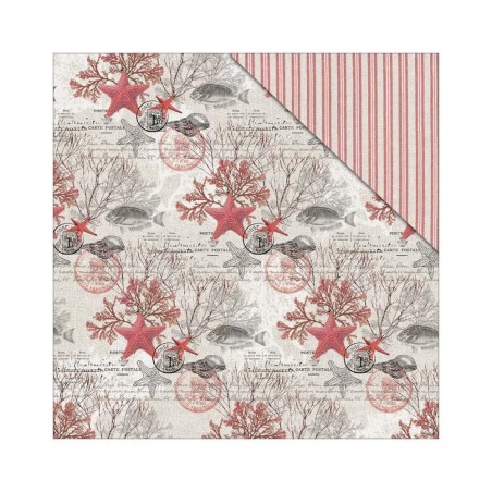 Beach affair: Starfish