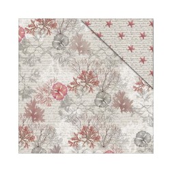 Beach affair: Starfish 2