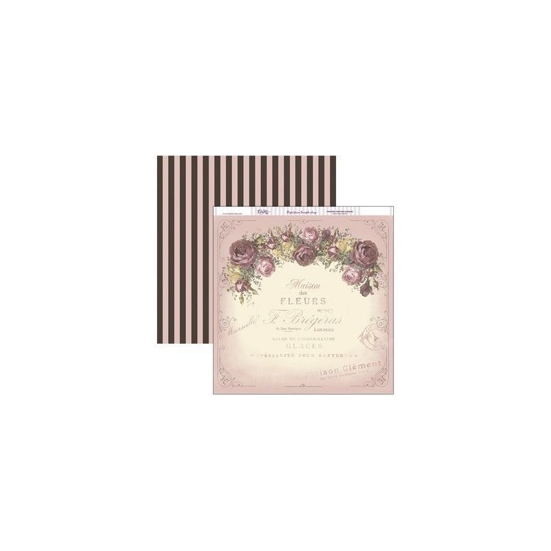 Rosas. flores. Dayka