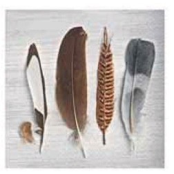 Servilleta para decoupage: Plumas. 33 x 33 cm | L'aura Bella