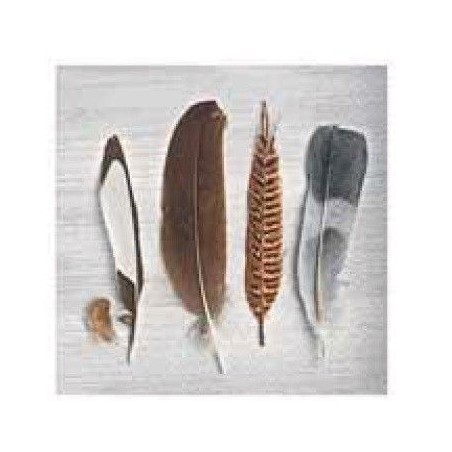 Servilleta para decoupage: Plumas. 33 x 33 cm | L'aura Bella