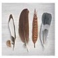 Servilleta para decoupage: colección de plumas. 33 x 33 cm