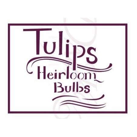 Tulips heirloom bulbs