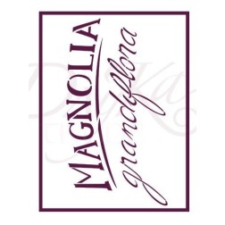 Magnolia grandiflora