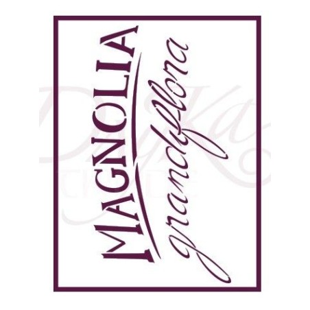 Magnolia grandiflora