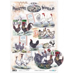 Papel cartonaje encuadernacion. Gallinero Classic | L'aura Bella