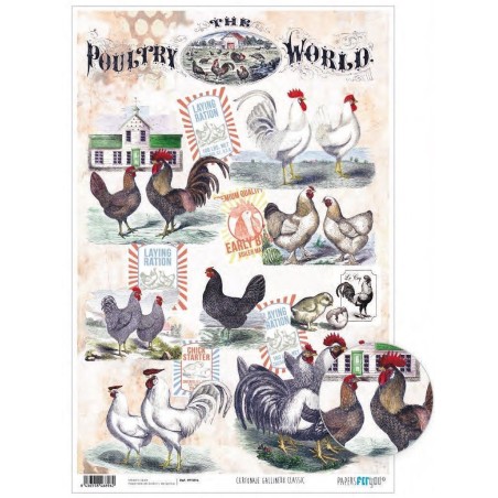 Papel cartonaje. PFY. Gallinero Classisc. 32 x 48,3 cm