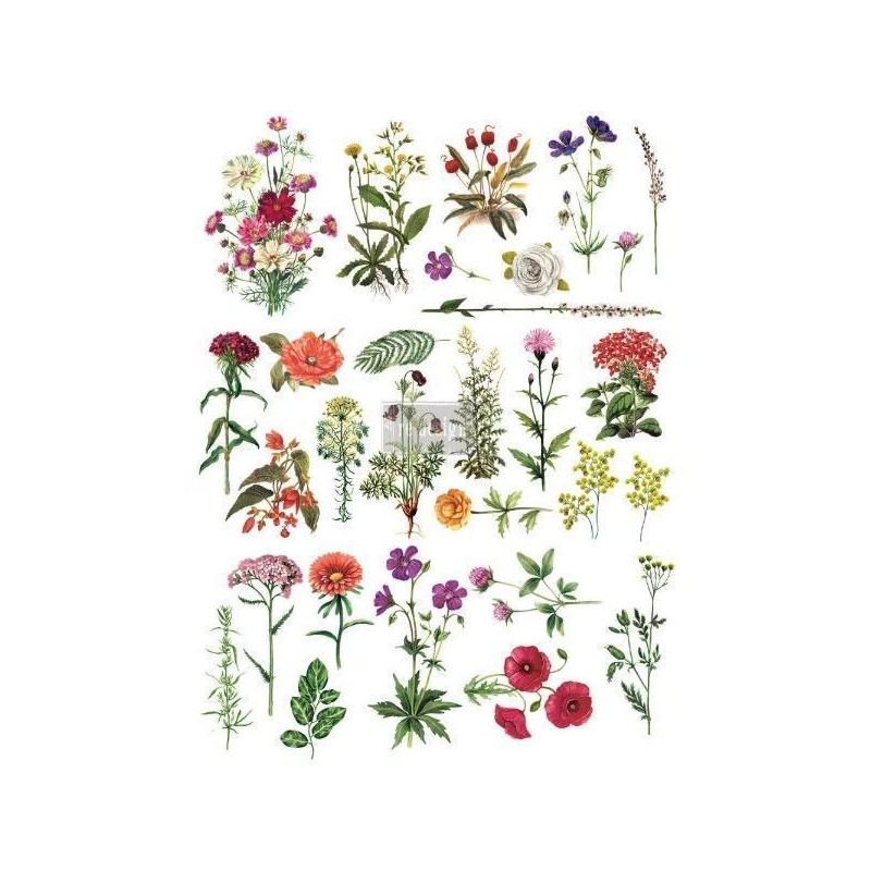 Floral Collection REDESIGN DECOR TRANSFERS® 640576 | L'aura Bella