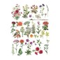 Floral Collection. Transfer, calcomania REDESIGN DECOR TRANSFERS®
