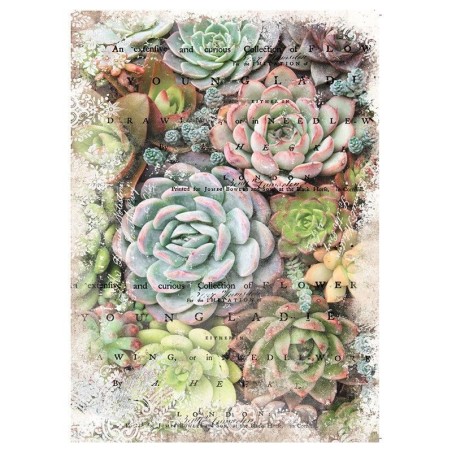 Zuri. Decoupage Decor Tissue Paper Redesign | L'aura Bella