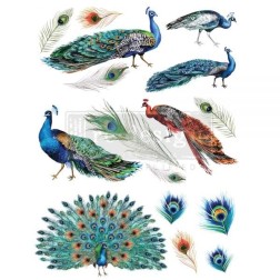 Peacock Dreams REDESIGN DECOR TRANSFERS® 645090 | L'aura Bella