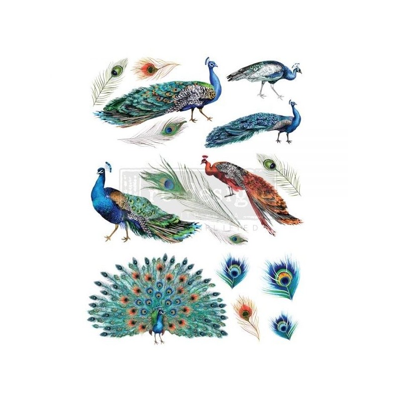 Peacock Dreams REDESIGN DECOR TRANSFERS® 645090 | L'aura Bella
