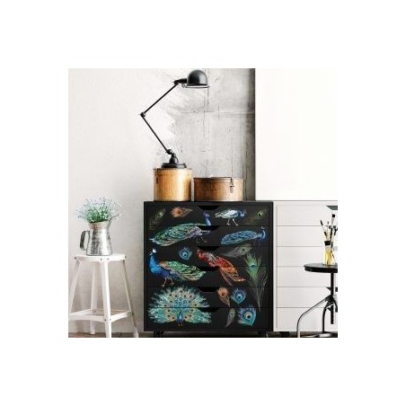 Peacock Dreams. Transfer, calcomania REDESIGN DECOR TRANSFERS®