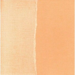 Papel scrapbooking Mango Core'dinations GX-CO010 | L'aura Bella