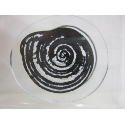 Sello acrílico con diseño de Caracola | L'aura Bella