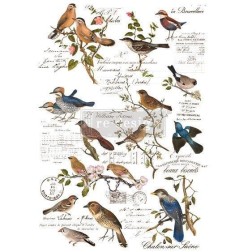 Postal Birds REDESIGN DECOR TRANSFERS® 647551 | L'aura Bella