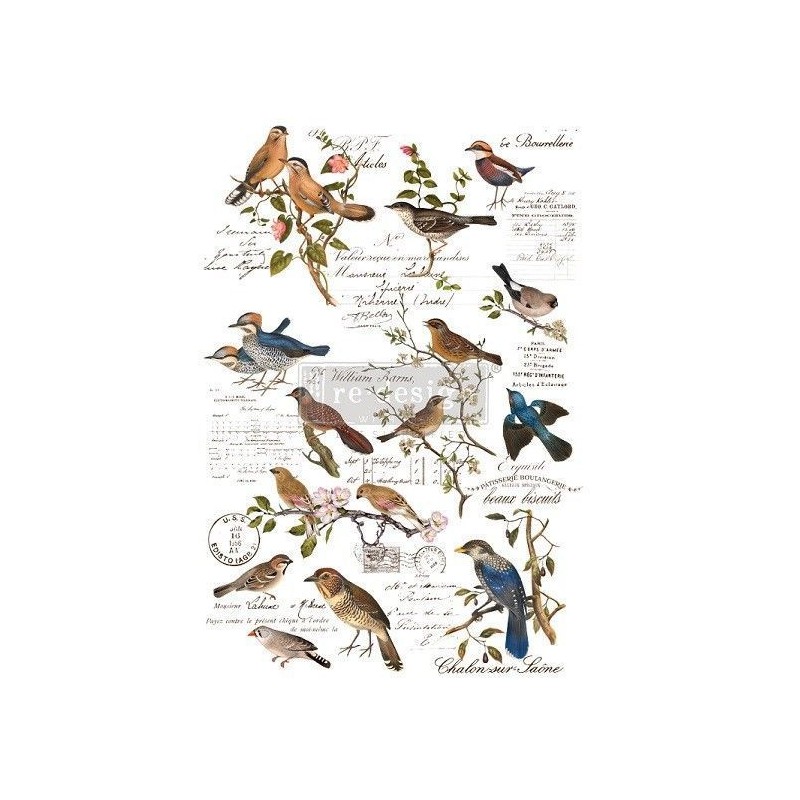 Postal Birds REDESIGN DECOR TRANSFERS® 647551 | L'aura Bella