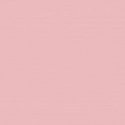 Esmalte acrílico Capricho de Mary Paint. Rosa Bebé R006 | L'aura Bella