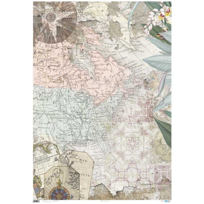 Papel entelado Born to be Wild. PFY-2461 Encuadernacion | L'aura Bella