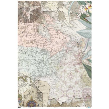 Papel entelado. Born to be Wild. 100 x 70 cm. PFY-2461