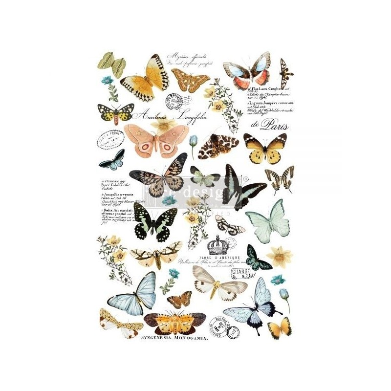 Butterfly Dance REDESIGN DECOR TRANSFERS® 647636 | L'aura Bella