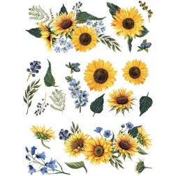 Sunflower Fields REDESIGN DECOR TRANSFERS® 644840 | L'aura Bella