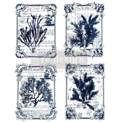 Seaweed REDESIGN DECOR TRANSFERS® 637736 | L'aura Bella