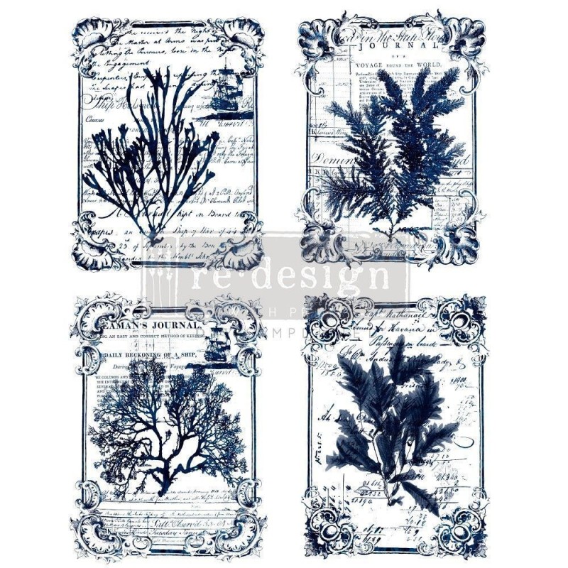 Seaweed REDESIGN DECOR TRANSFERS® 637736 | L'aura Bella