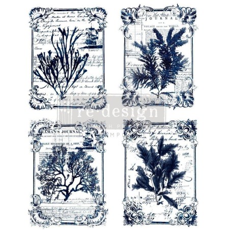Seaweed REDESIGN DECOR TRANSFERS® 637736 | L'aura Bella