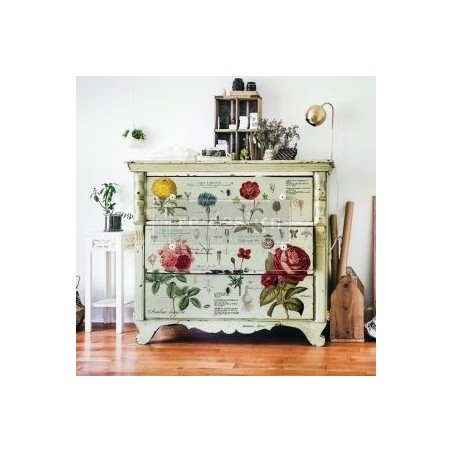 Vintage Botanical. Transfer, calcomania REDESIGN DECOR TRANSFERS®