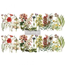 The Flower Fields REDESIGN DECOR TRANSFERS® 650308 | L'aura Bella