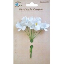 Mini orchid flower white. 10 pcs.. Little Birdie. orquídeas blancas