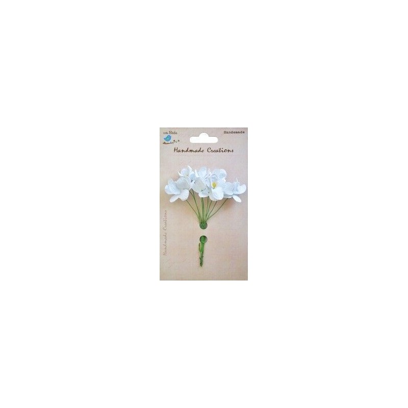 Mini orchid flower white. 10 pcs.. Little Birdie. orquídeas blancas