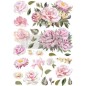 Rose Quartz. Transfer, calcomania REDESIGN DECOR TRANSFERS®